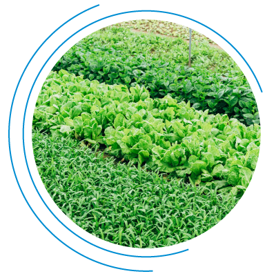 agriculture manufacturing florida